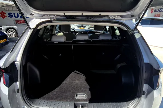 62948802_trunk_35457811.jpg