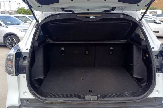 79206903_trunk_19364411.jpg